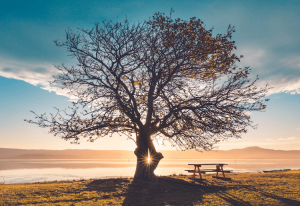 long distance relationships